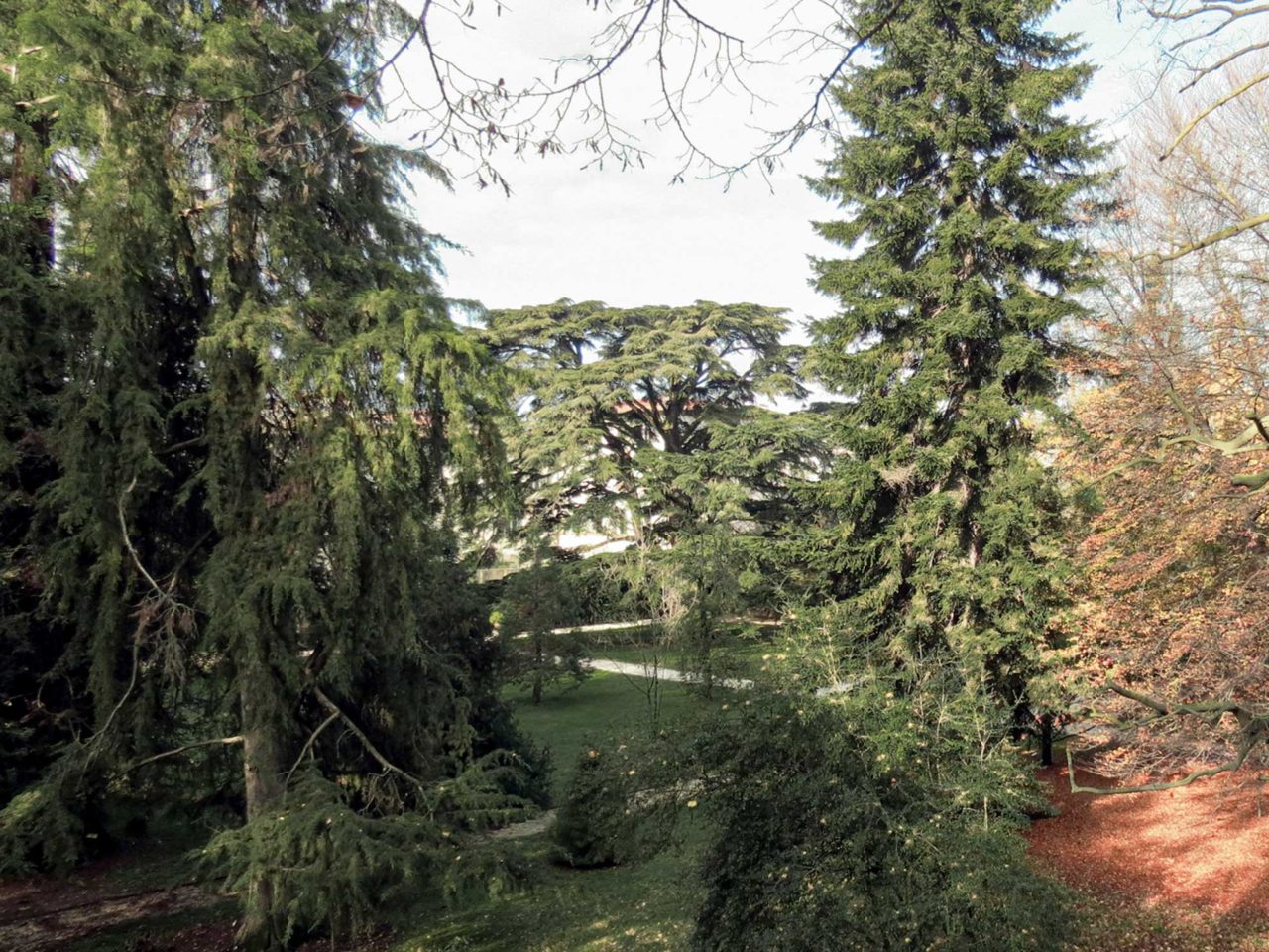 Orto Botanico Di Lucca, Il Giardino Più Prezioso Di Lucca, Fondato Nel 1820