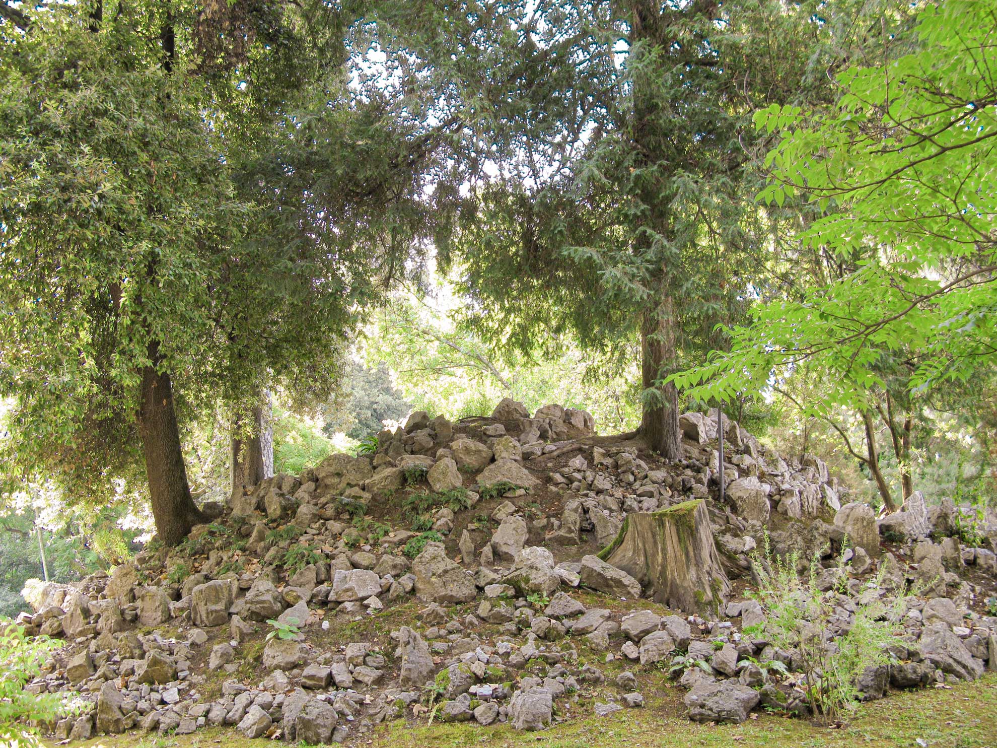 Montagnola - Orto Botanico Di Lucca