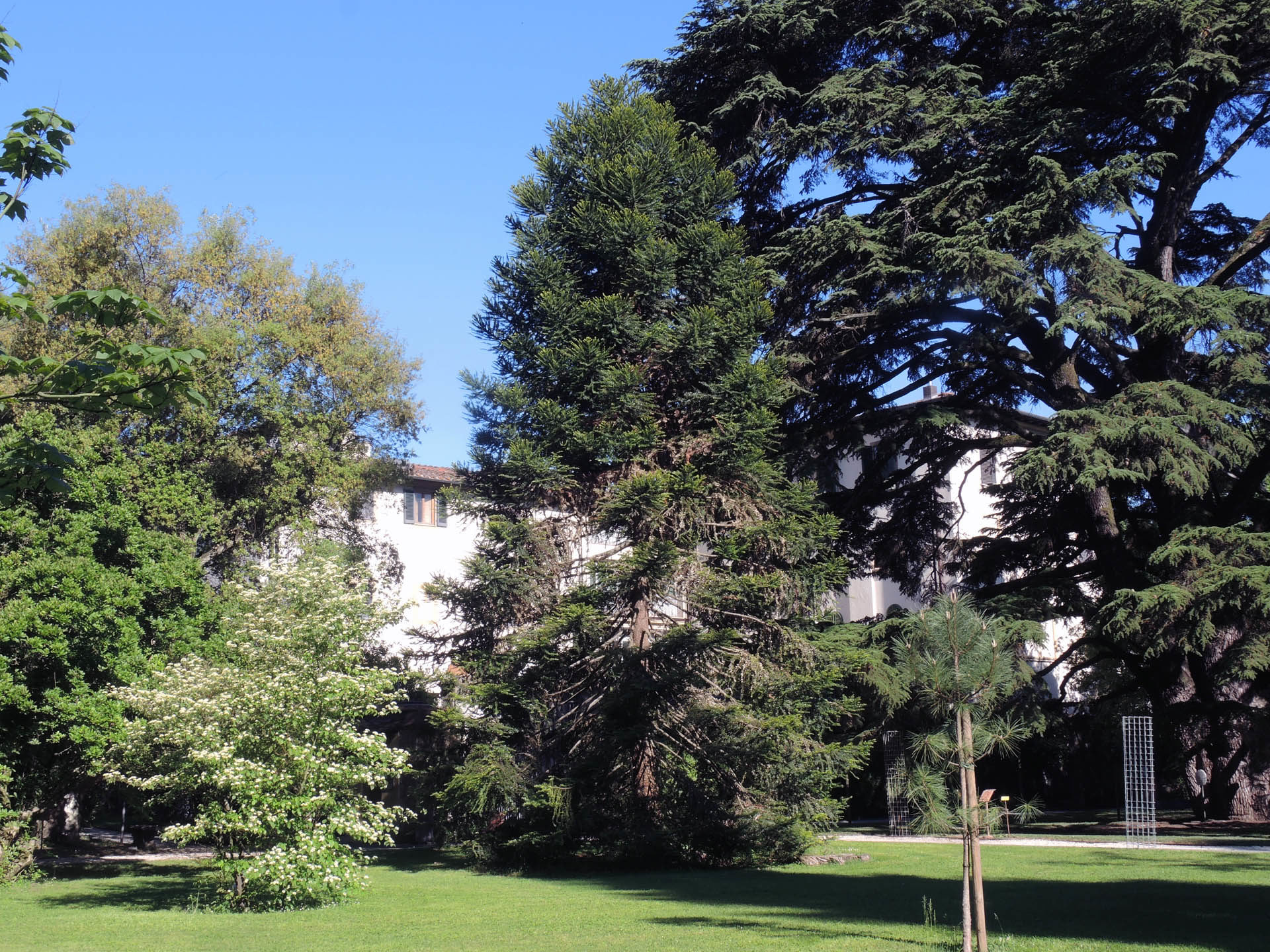 Arboreto Orto Botanico di Lucca